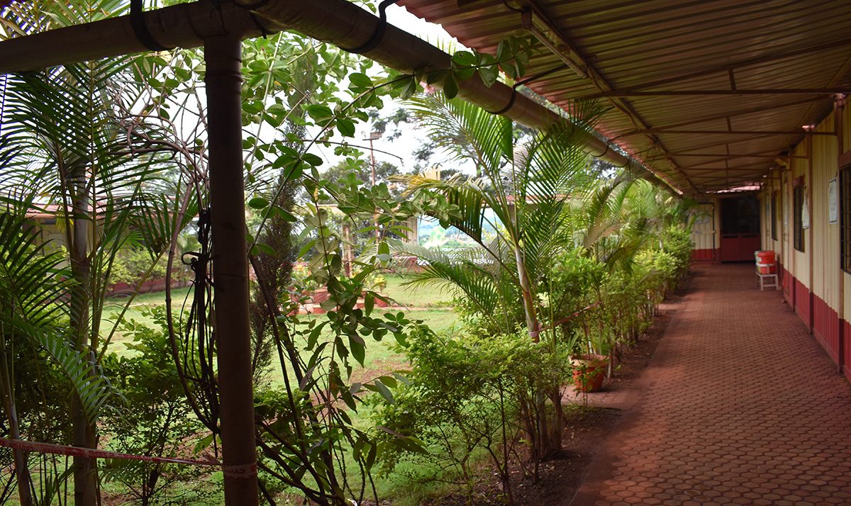 Roof Water Harvesting At Mines Office