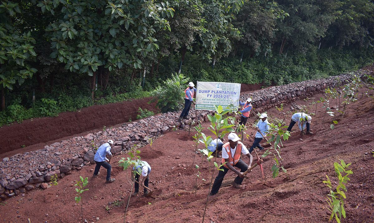Buffer Zone plantation 2024-2025