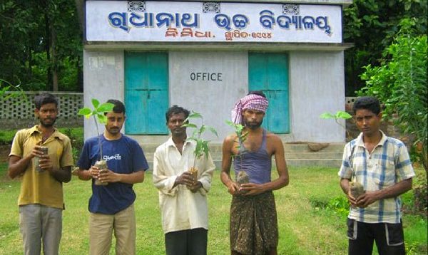 Distribution of Fruit Bearing saplings to the villagers of Nimidha