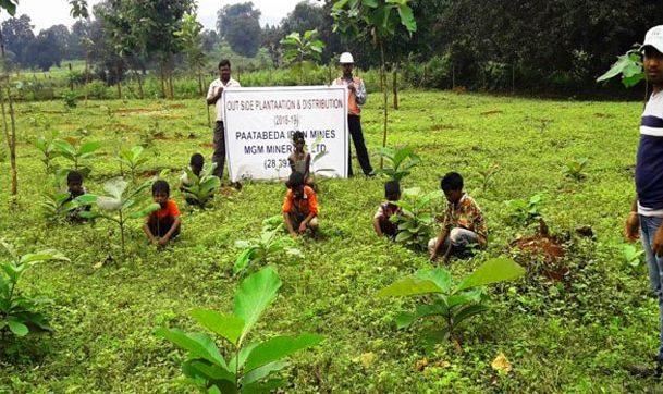 Outside Plantation In Patabeda Village