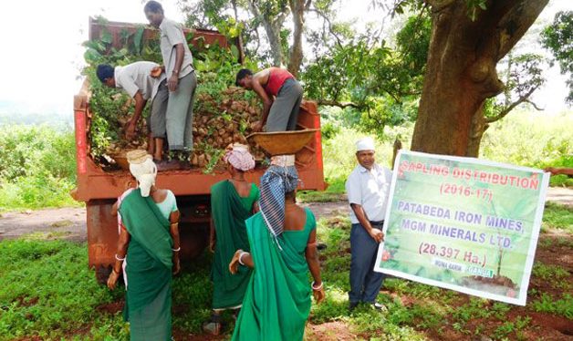 Saplings Distributed To The Nearby Villagers