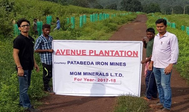 Avenue Plantation Done From Village Deoghar to Kenaveta