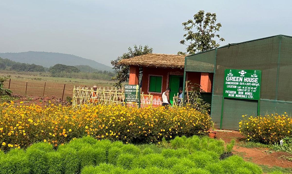 Green House at Nursery