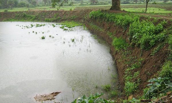 Renovation of Nimidha Village Pond