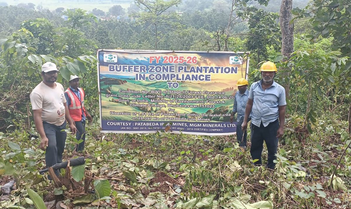 Buffer Zone plantation 2025-2026
