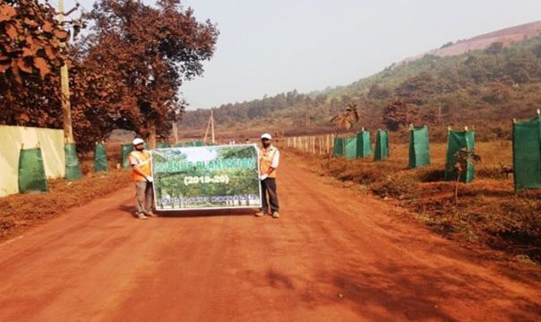 Avenue Plantation Done From Village Sunaposi To Patabeda